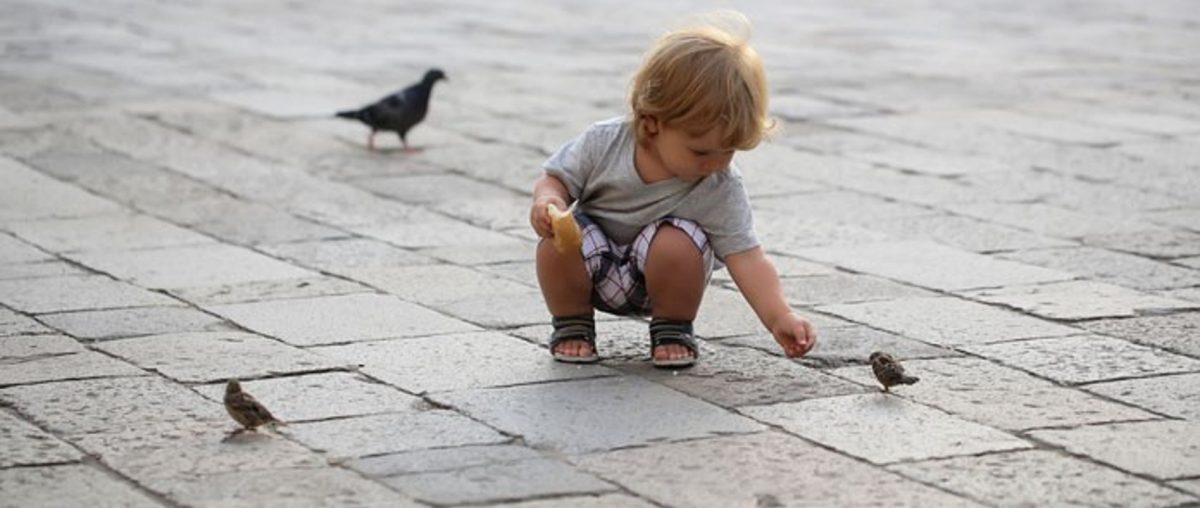 Kleinkind streckt einem Vogel Futter hin